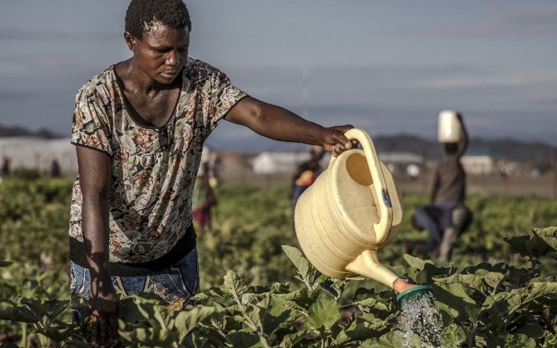 Agriculture